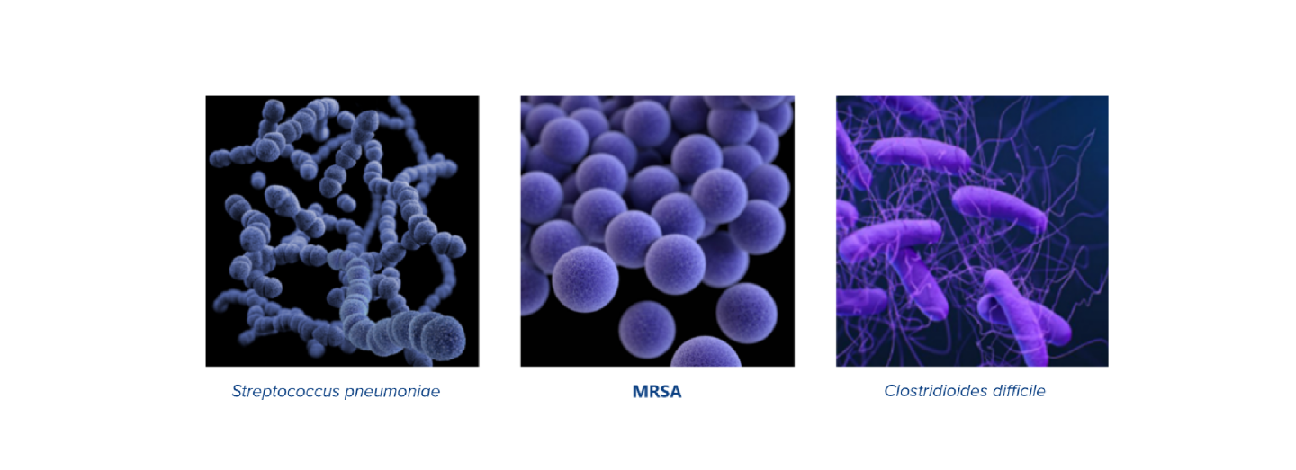 Bacteria causing AMR