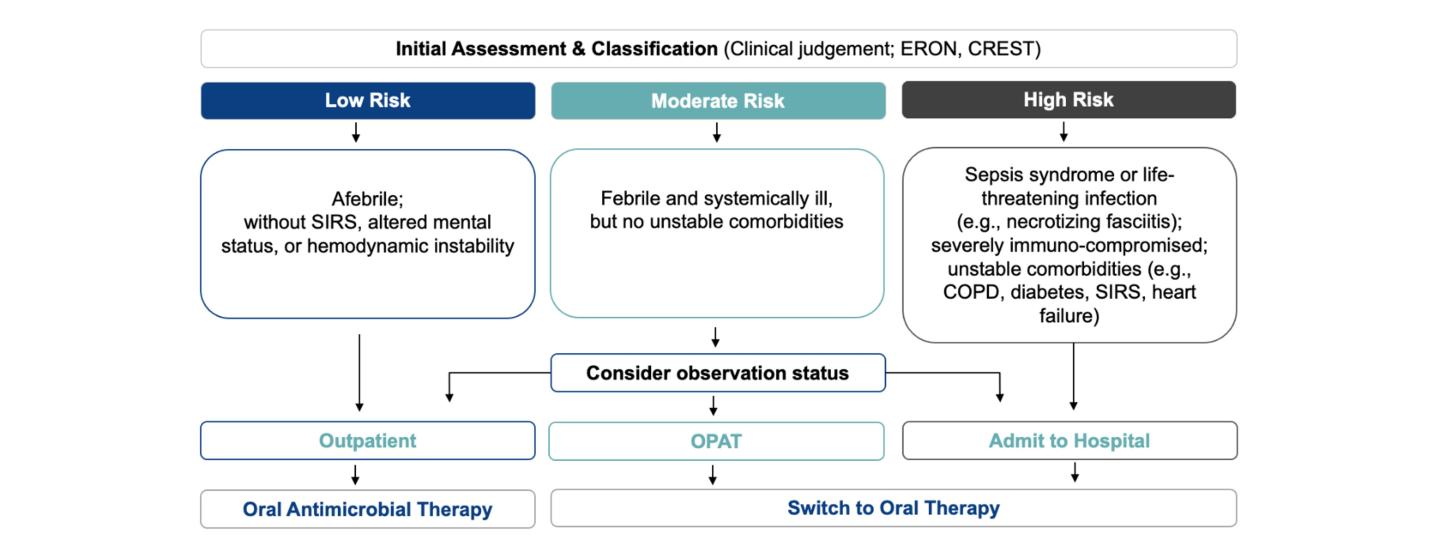 SSTI Treatment initial assessment and classification