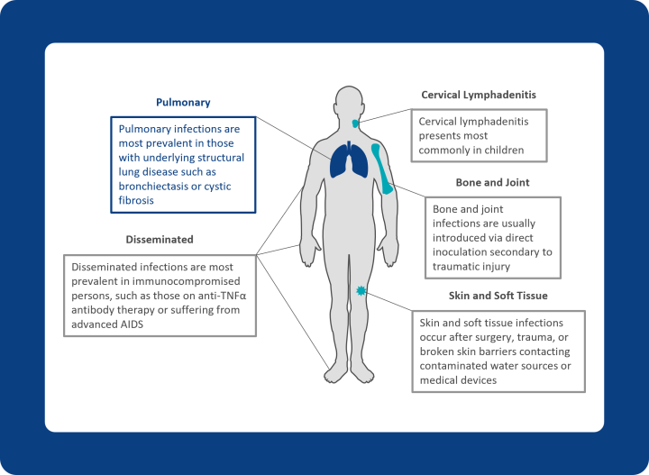 NTM Spectrum of Disease in Humans